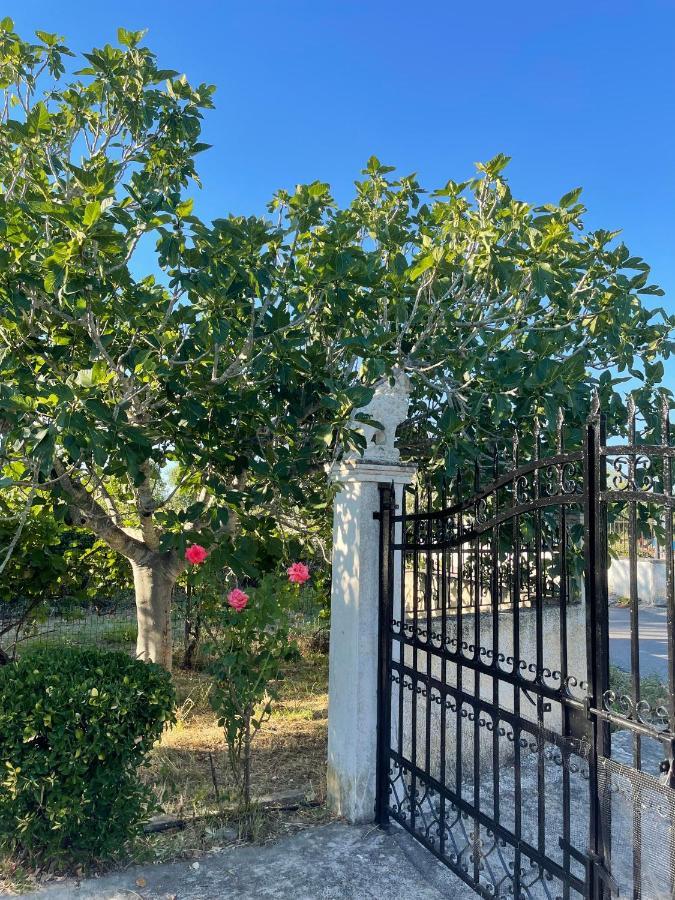 Beautiful Nearby Beach House With Garden, Private Pool And Large Yard シダリオン エクステリア 写真